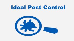 Greensboro Pest Control  (336) 996-4952 - Ideal Pest Control